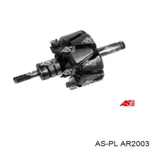 230055 Cargo Rotor del alternador