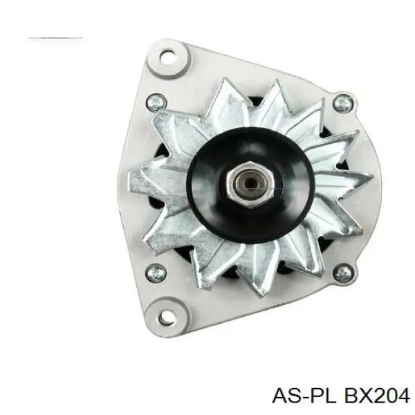 Escobillas alternador 572838 Peugeot/Citroen