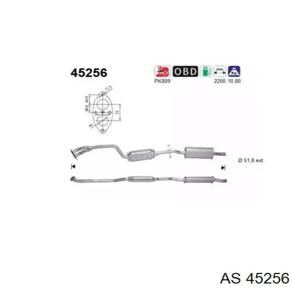 Catalizador AS/Auto Storm 45256 precio, desde 309,99 EUR