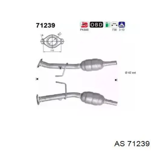 Comprar 71239 AS/Auto Storm Catalizador