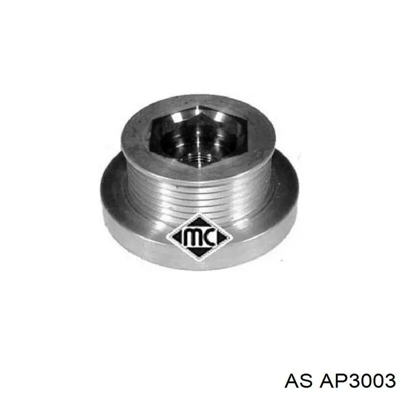 AP3003 AS/Auto Storm Rueda libre alternador 