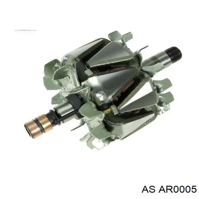 Rotor del alternador 138039 Cargo