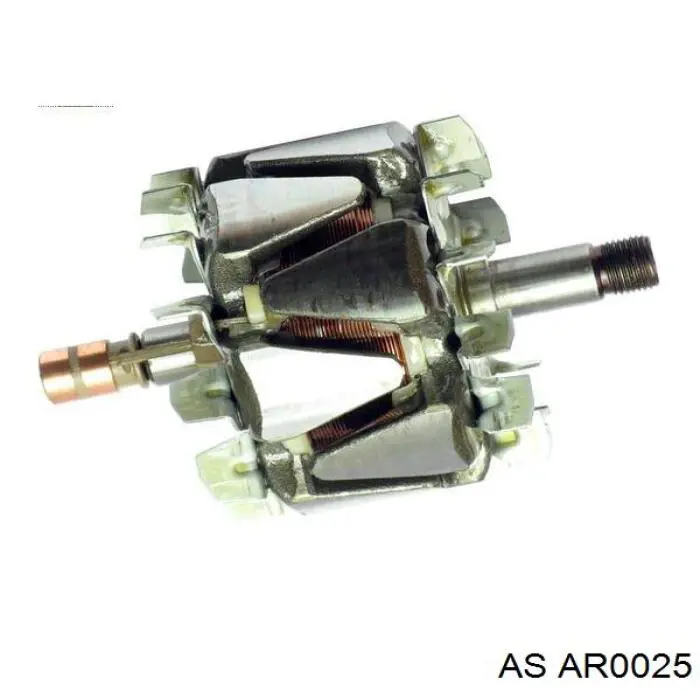 Rotor del alternador F00M131661 Bosch