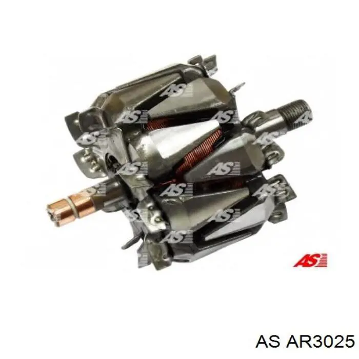 Rotor del alternador AR3025 AS/Auto Storm