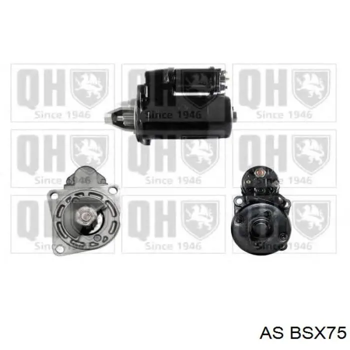 Escobilla de carbón, arrancador Volkswagen Passat 3A5, 351, 315