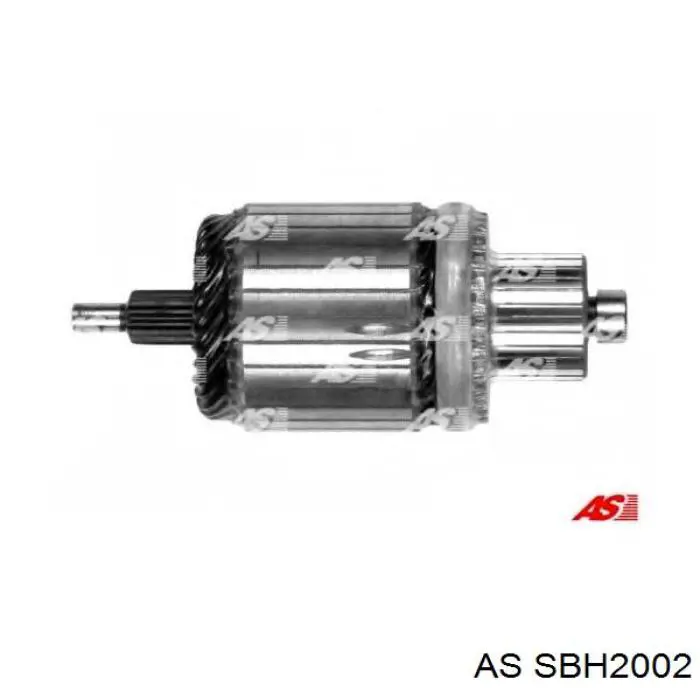 Soporte, escobillas de carbón, motor de arranque Nissan/Infiniti 233780M300