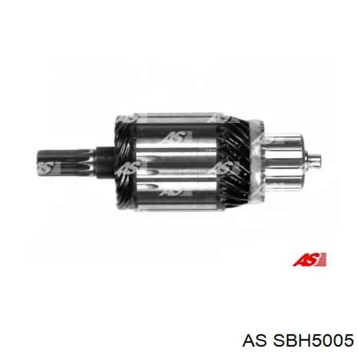 SBH5005 AS/Auto Storm portaescobillas motor de arranque