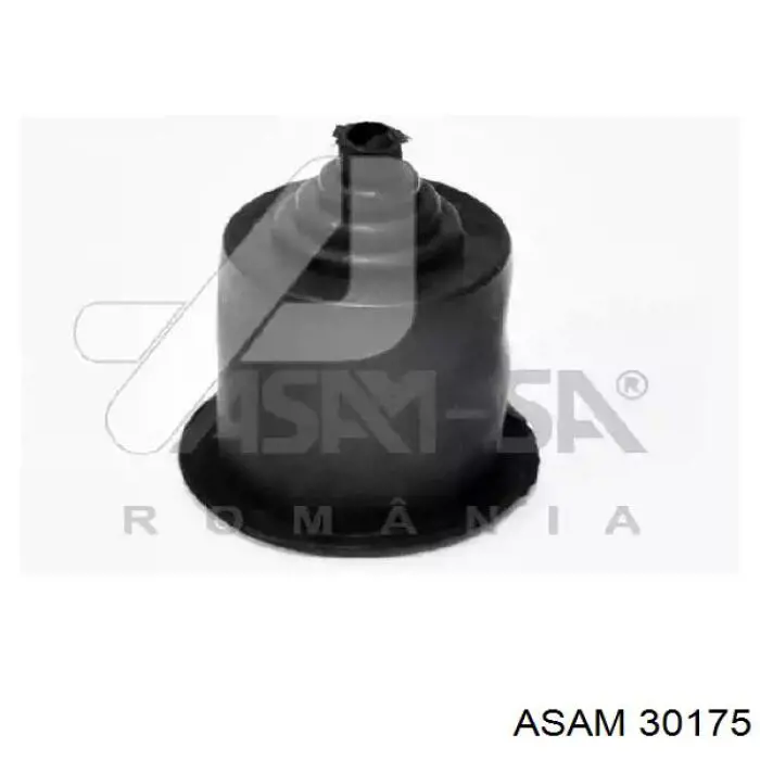 Parachoques delantero Asam 30175 precio, desde 68,21 EUR