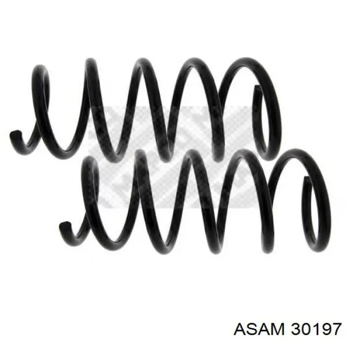 Muelle delantero Asam 30197 precio, desde 21,39 EUR