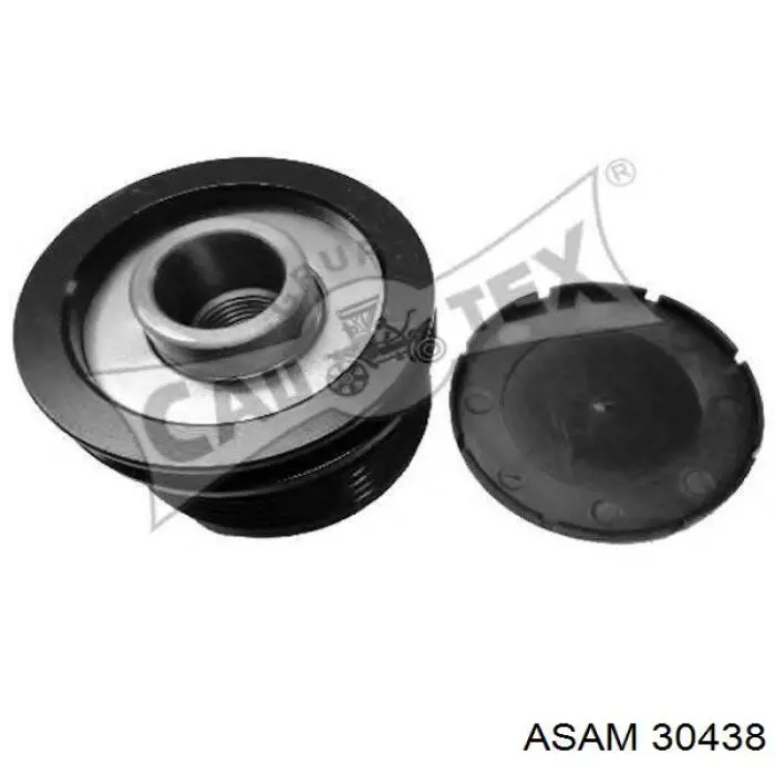 Poleas juego de piezas Renault Megane 2 LM0, LM1