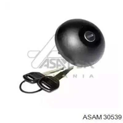 Tapón combustible Renault Clio II