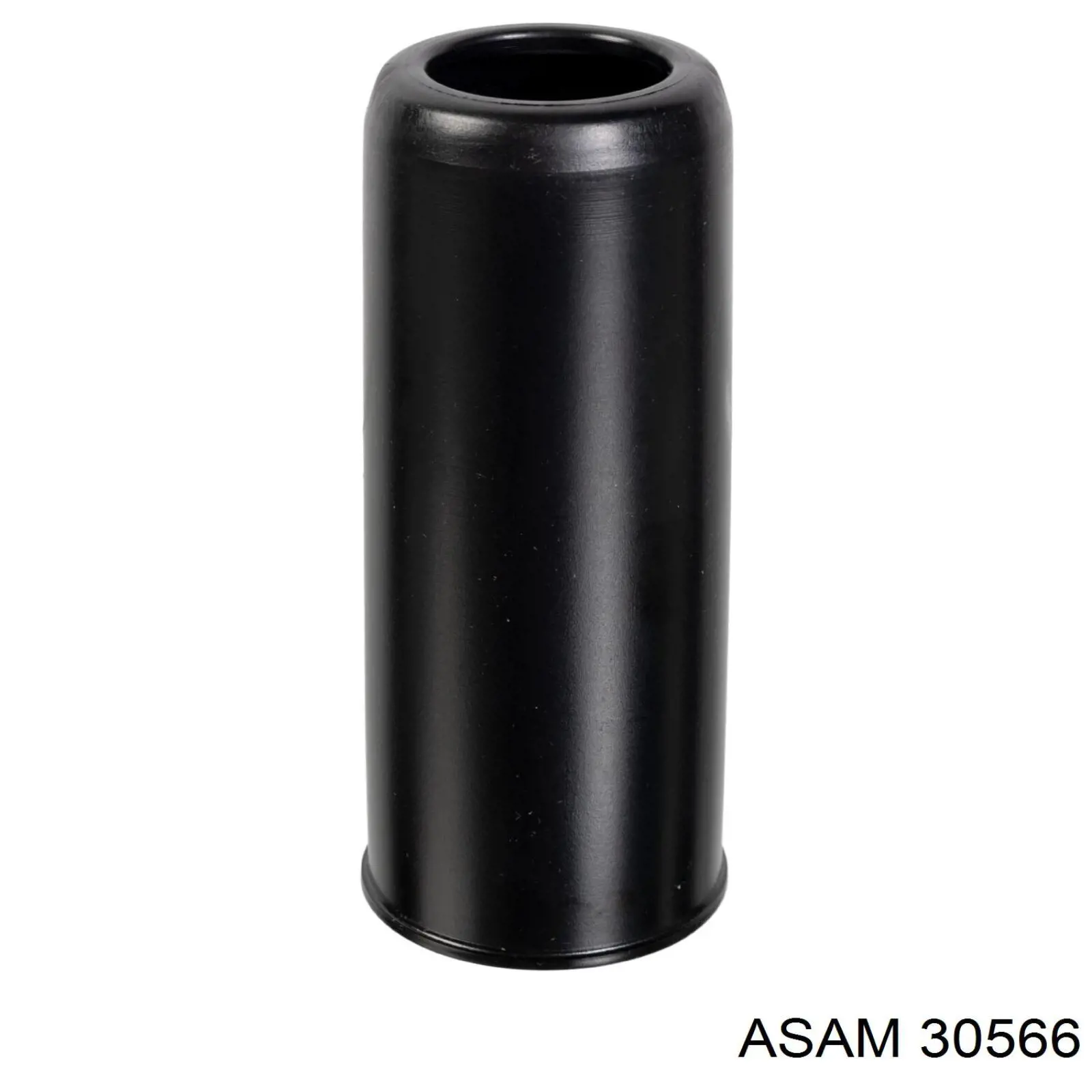 30566 Asam filtro de aceite