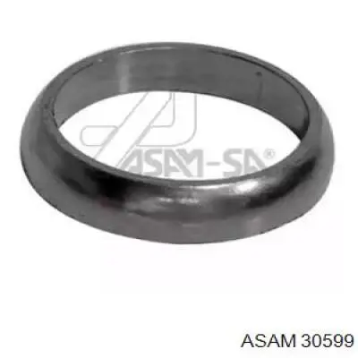 Anillo de la tubería de admisión del silenciador Asam 30599 precio, desde 1,74 EUR