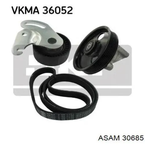 Rodillo guia Asam 30685