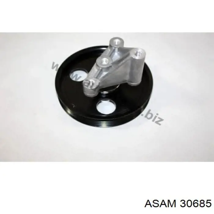 Polea inversión/guía, correa auxiliar servicios Asam 30685 precio, desde 42,11 EUR