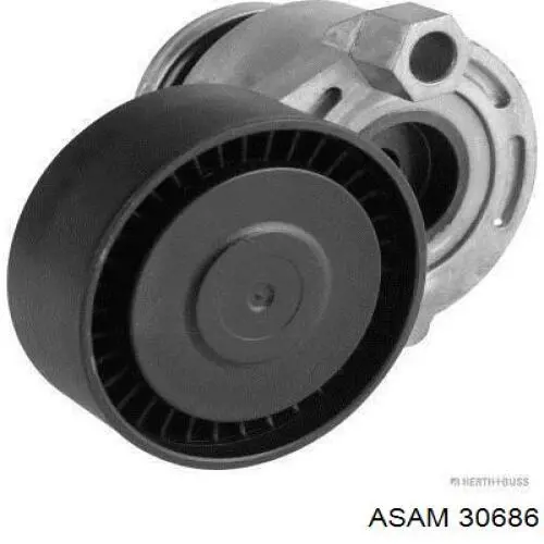 Rodillo, correa trapecial poli V Renault Kangoo 2 FW0