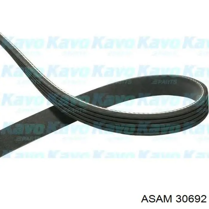 Correa de alternador 8671018540 Renault (RVI)