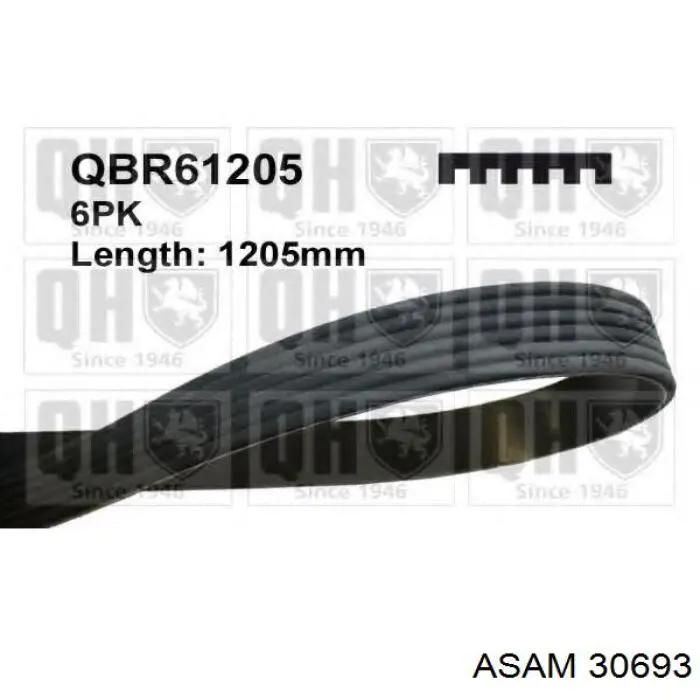 Correa de alternador 55567559 Peugeot/Citroen
