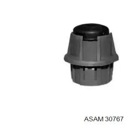 Tope del capó Asam 30767 precio, desde 2,75 EUR