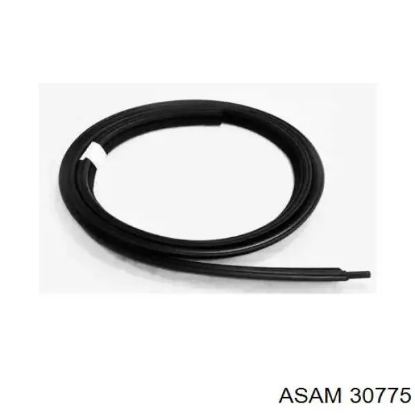 Sellador de tapa de maletero Asam 30775 precio, desde 84,31 EUR