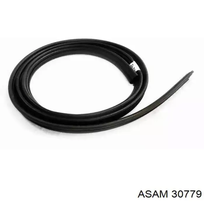 Comprar 6001547017 Renault (RVI) Sellador de puerta delantera