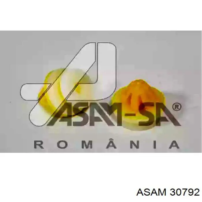 Pistón de fijación del revestimiento de la puerta Asam 30792 precio, desde 0,48 EUR