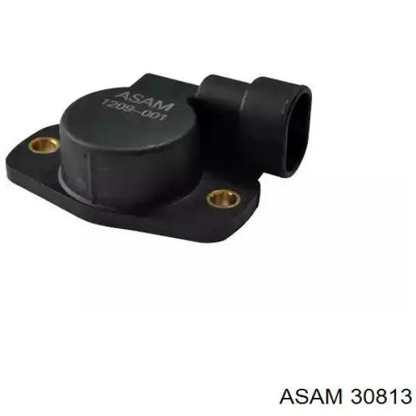 Sensor, posición mariposa Asam 30813 precio, desde 9,60 EUR