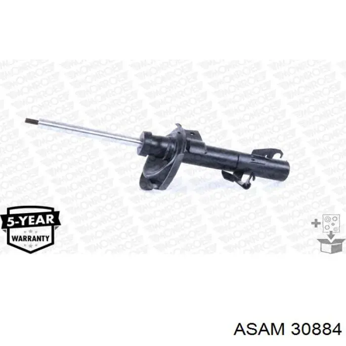 30884 Asam