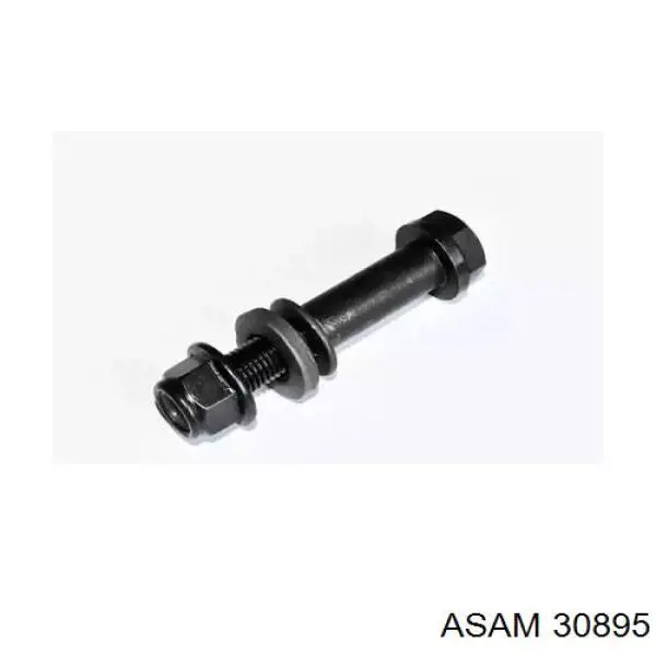 30895 Asam