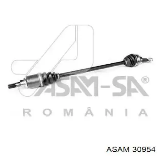 Palier trasero Asam 30954 precio, desde 57,85 EUR