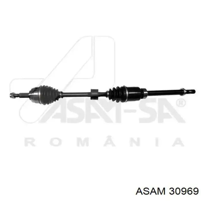 391001458R Renault (RVI) Semieje delantero derecho