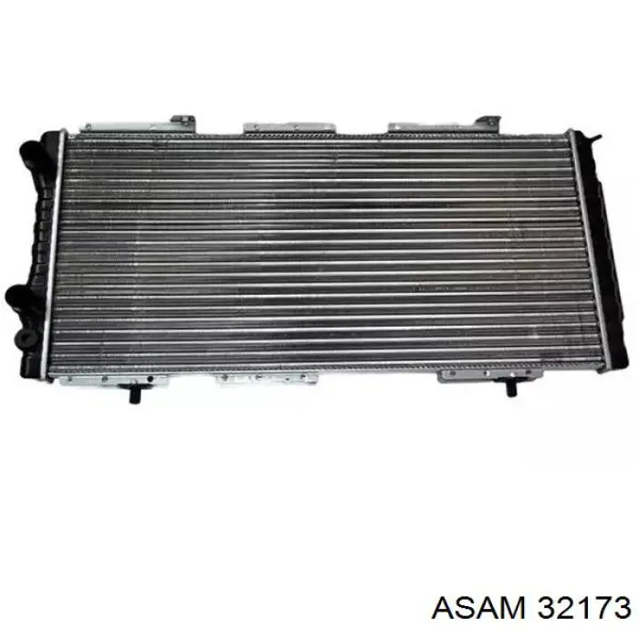 32173 Asam radiador