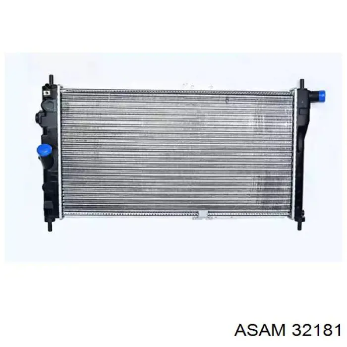 32181 Asam radiador