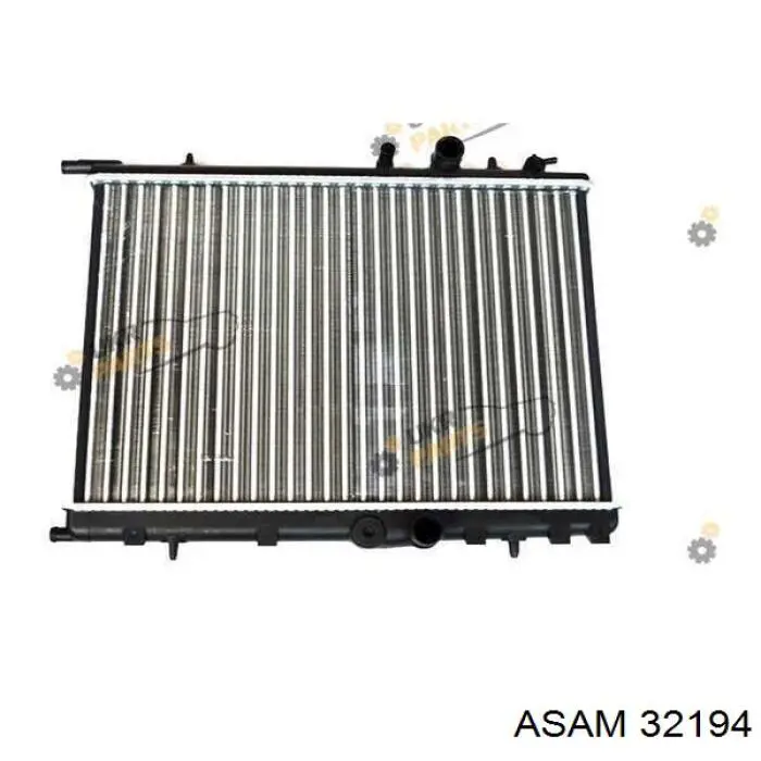 32194 Asam radiador