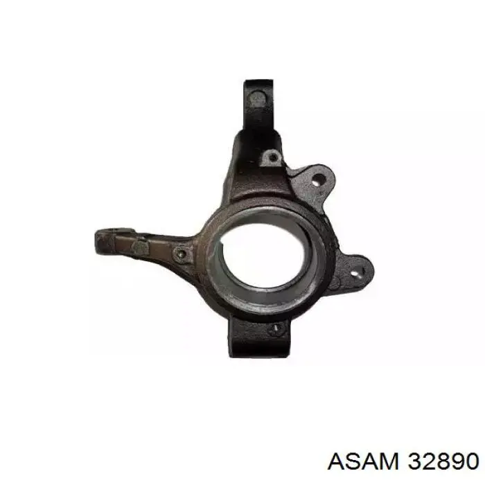 Mangueta delantera izquierda Renault (RVI) 6001549732 precio, desde 58,08 EUR