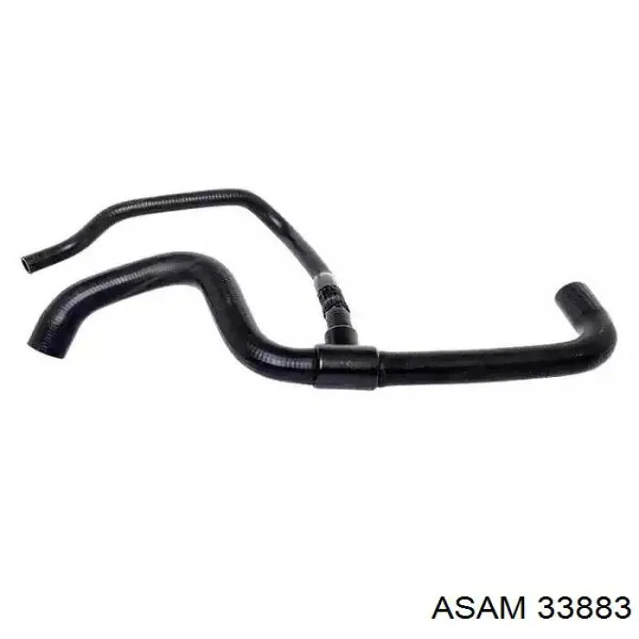 33883 ASAM tubería de radiador, tuberia flexible calefacción, superior