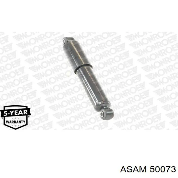 Radiador 50073 Asam