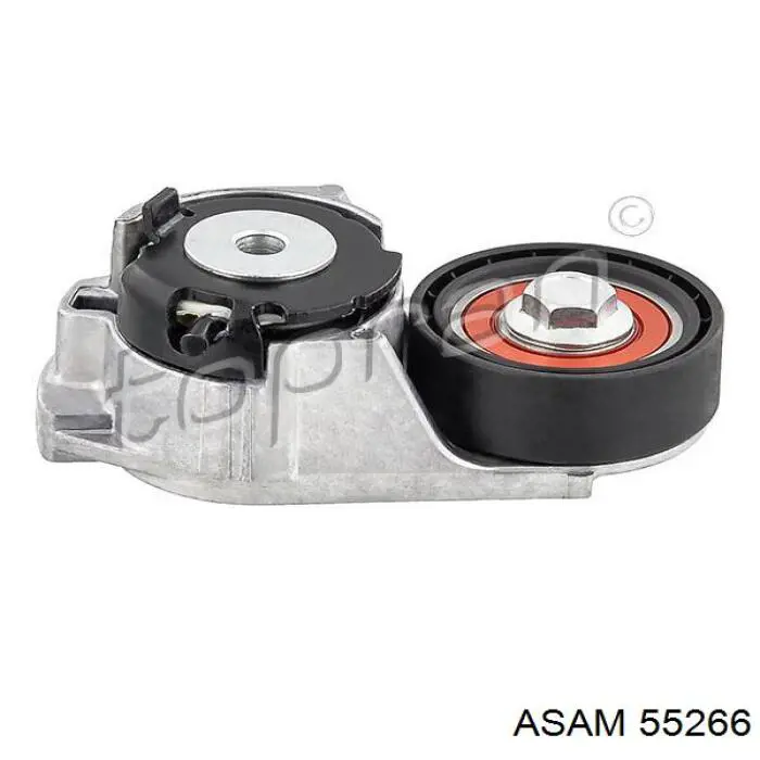 Guardalodos interior izquierdo, guardafango delantero Asam 55266 precio, desde 26,56 EUR