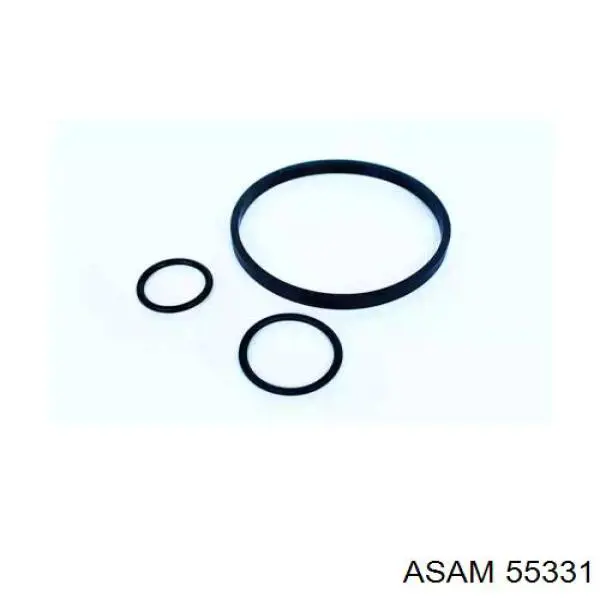 55331 Asam junta, adaptador de filtro de aceite