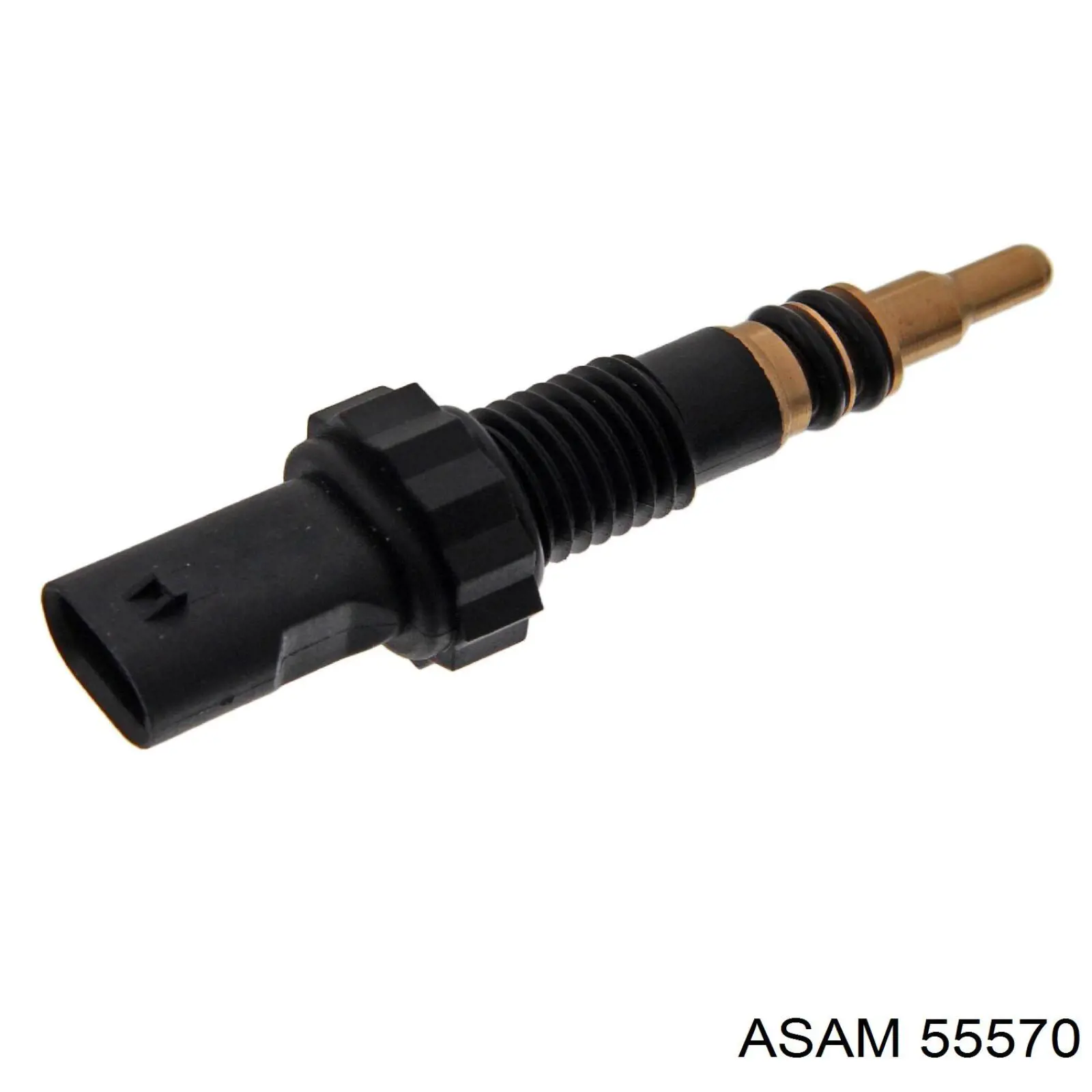 Comprar 55570 Asam Soporte de tubo de escape