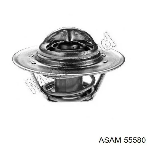 Comprar 55580 Asam Termostato