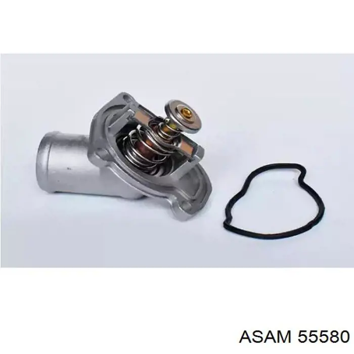 Termostato Asam 55580 precio, desde 10,62 EUR