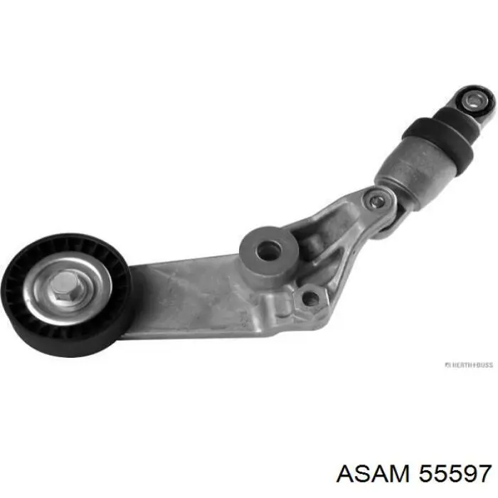 Comprar 55597 Asam Tensor de correa poli V 