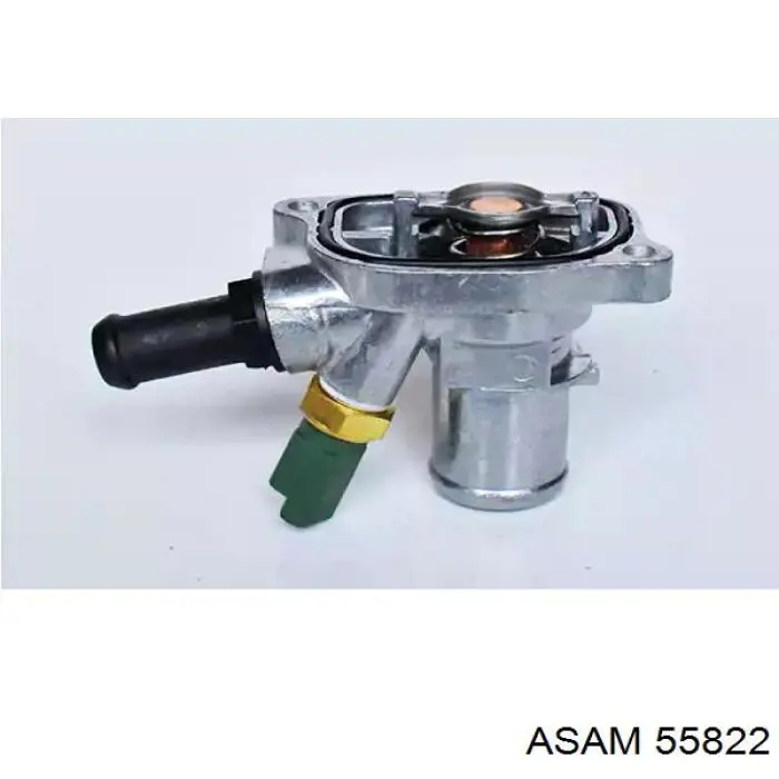 Termostato, refrigerante Nissan Tiida C11X