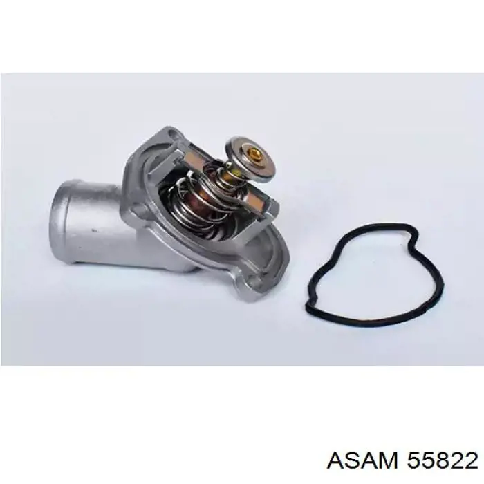 Termostato, refrigerante Nissan Tiida C11X