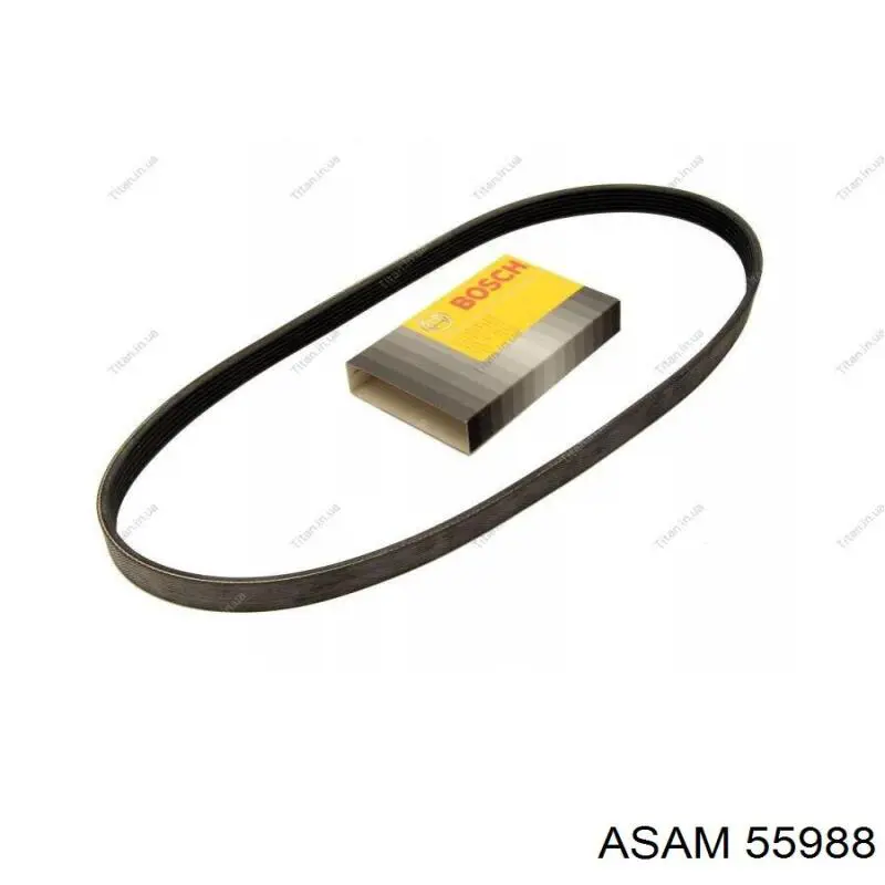 Correa trapezoidal Nissan Qashqai 2 J11