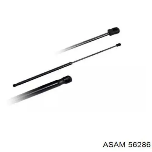 Comprar 56286 Asam Amortiguador de puerta trasera