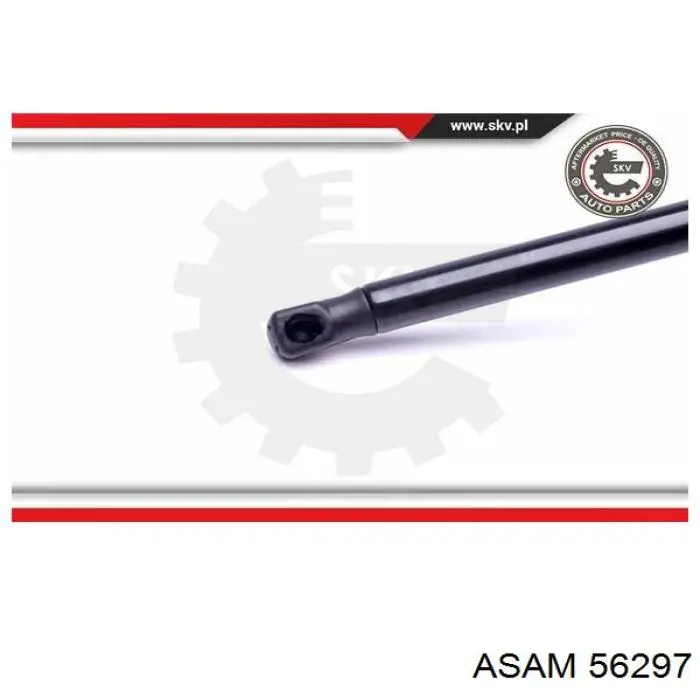 Ford Focus 2 DA, HCP, DP