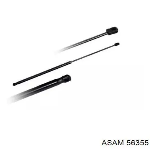 Amortiguador de maletero Asam 56355 precio, desde 17,89 EUR