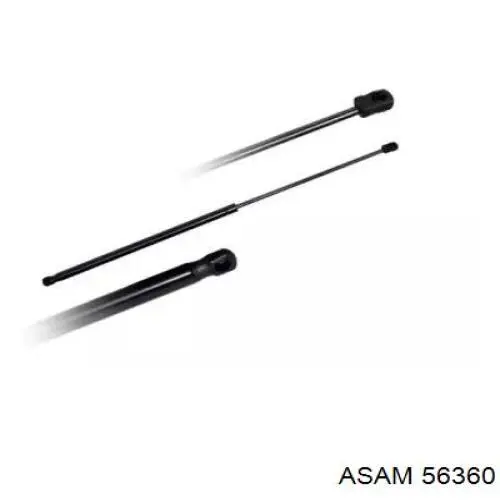 Comprar 56360 Asam Amortiguador de puerta trasera